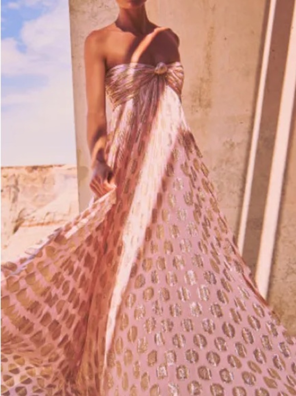 ALEXIS Maryana gown - Picture 3 of 6